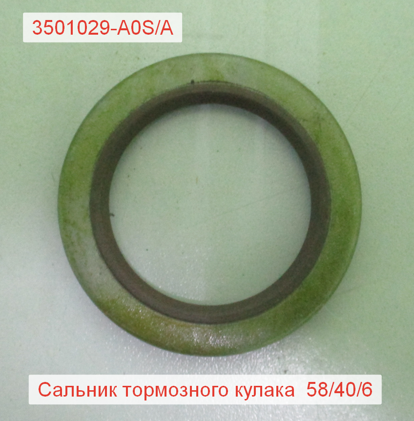 Сальник вала тормозного переднего J6
